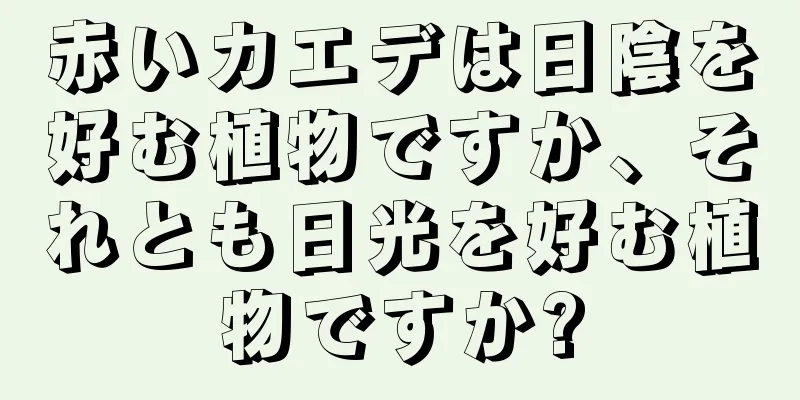 赤いカエデは日陰を好む植物ですか、それとも日光を好む植物ですか?