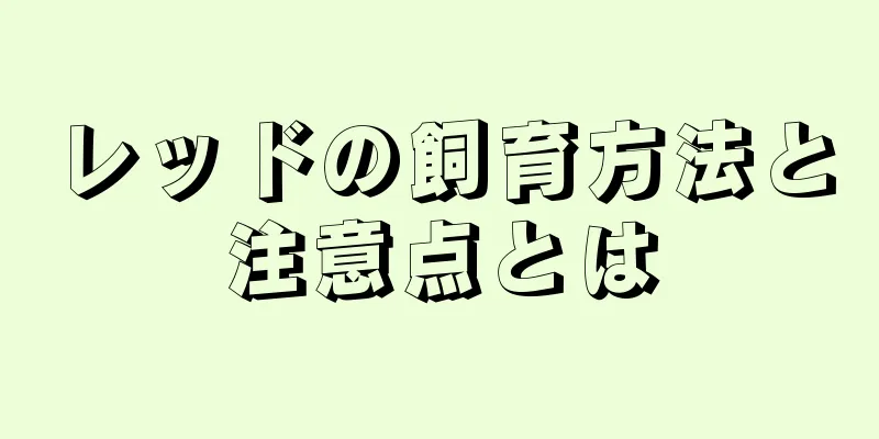 レッドの飼育方法と注意点とは