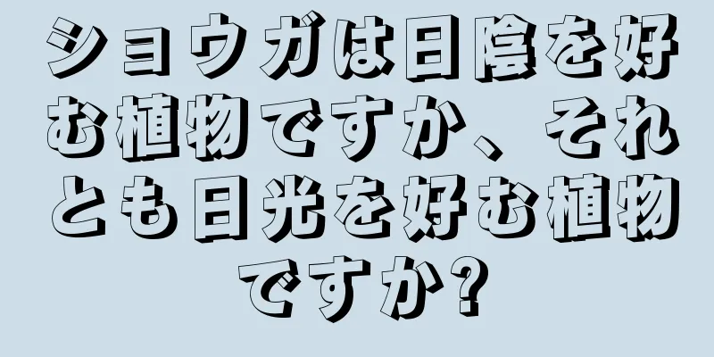 ショウガは日陰を好む植物ですか、それとも日光を好む植物ですか?