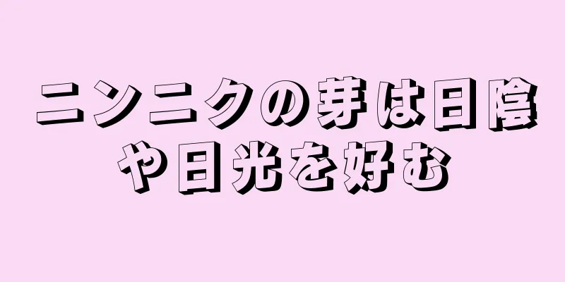 ニンニクの芽は日陰や日光を好む