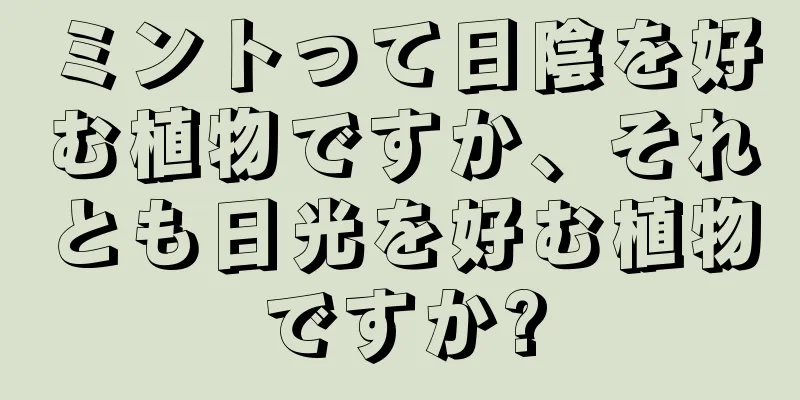 ミントって日陰を好む植物ですか、それとも日光を好む植物ですか?