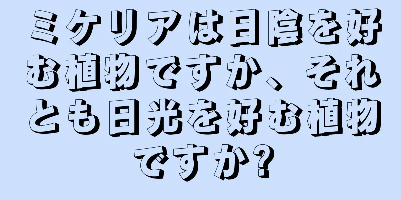 ミケリアは日陰を好む植物ですか、それとも日光を好む植物ですか?