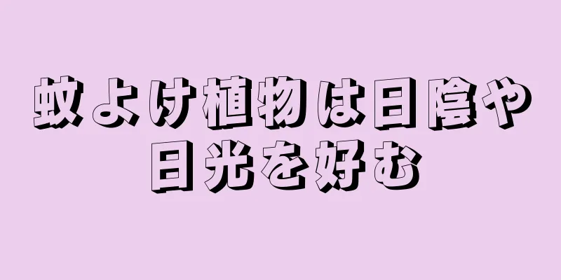 蚊よけ植物は日陰や日光を好む