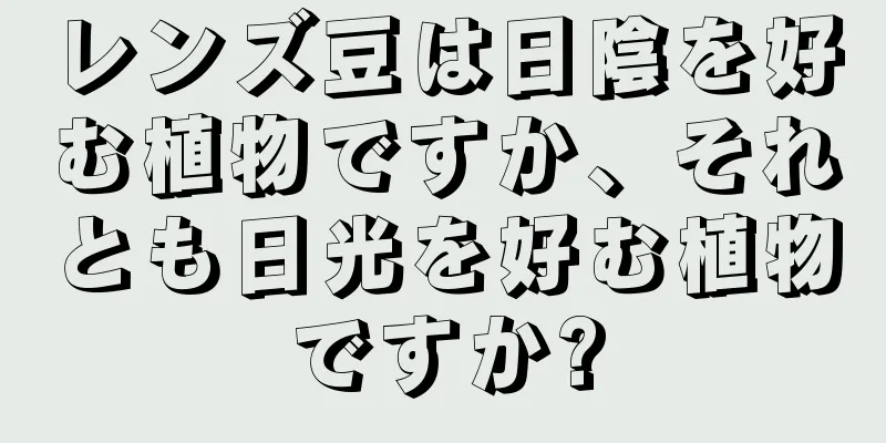 レンズ豆は日陰を好む植物ですか、それとも日光を好む植物ですか?