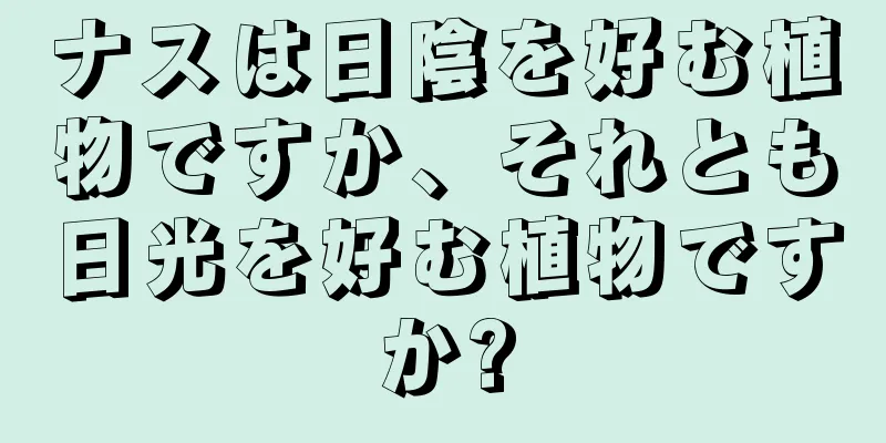 ナスは日陰を好む植物ですか、それとも日光を好む植物ですか?
