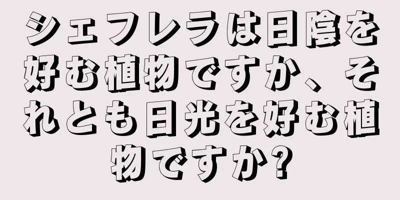 シェフレラは日陰を好む植物ですか、それとも日光を好む植物ですか?