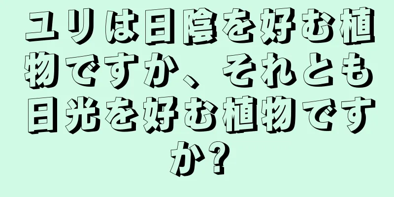 ユリは日陰を好む植物ですか、それとも日光を好む植物ですか?
