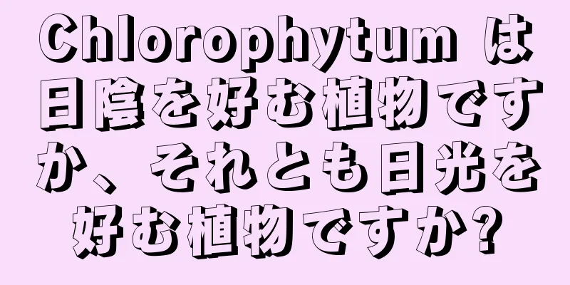 Chlorophytum は日陰を好む植物ですか、それとも日光を好む植物ですか?