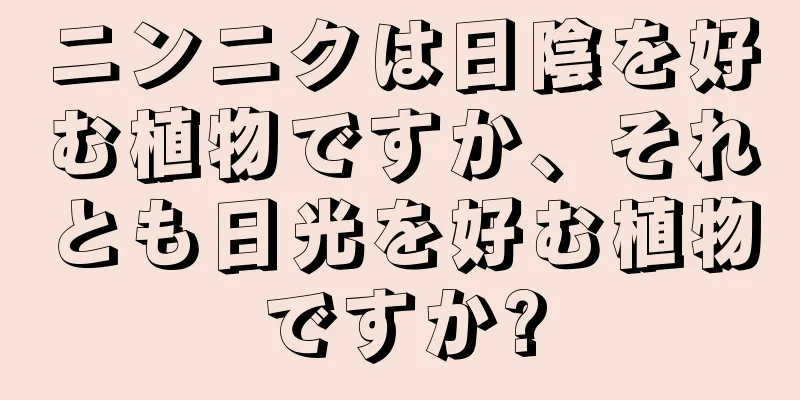 ニンニクは日陰を好む植物ですか、それとも日光を好む植物ですか?