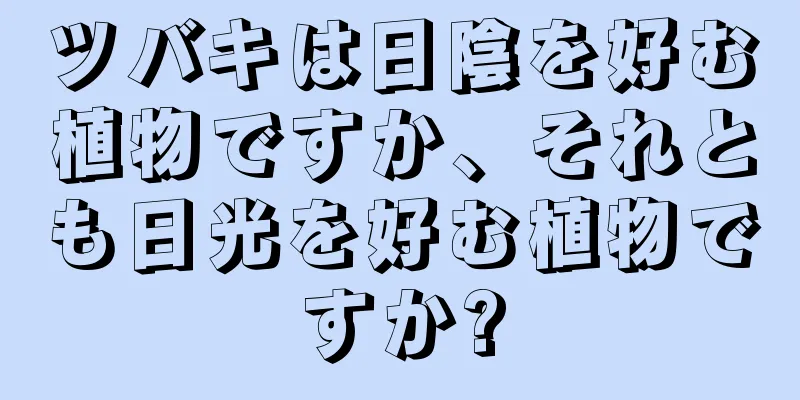 ツバキは日陰を好む植物ですか、それとも日光を好む植物ですか?