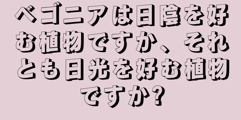 ベゴニアは日陰を好む植物ですか、それとも日光を好む植物ですか?