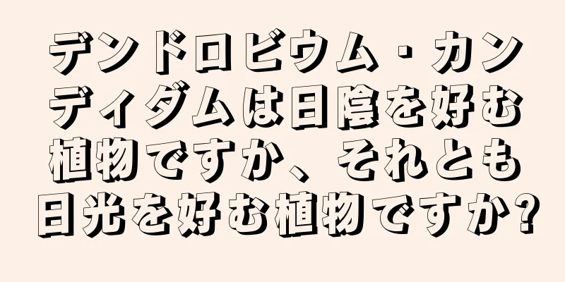 デンドロビウム・カンディダムは日陰を好む植物ですか、それとも日光を好む植物ですか?