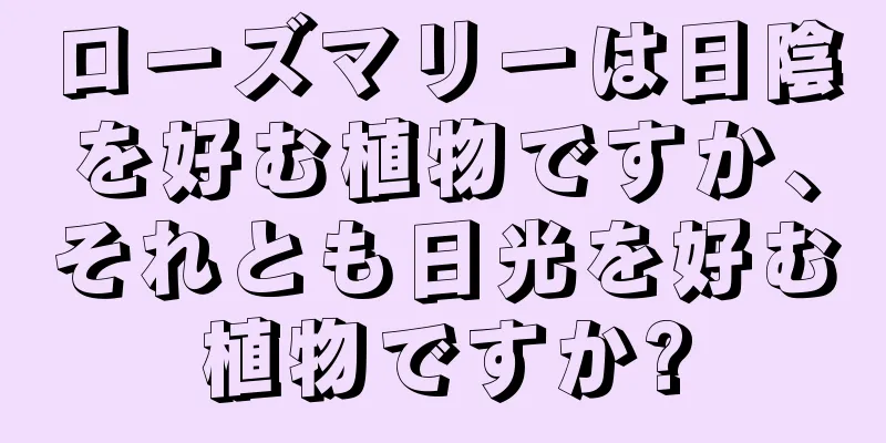 ローズマリーは日陰を好む植物ですか、それとも日光を好む植物ですか?