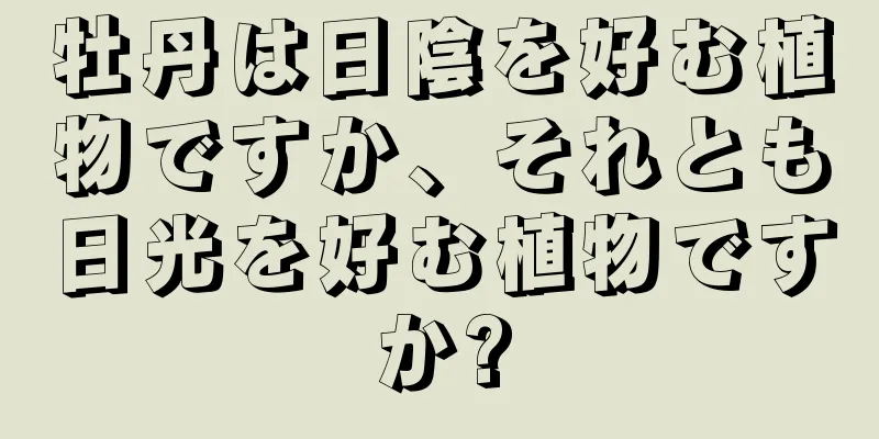 牡丹は日陰を好む植物ですか、それとも日光を好む植物ですか?