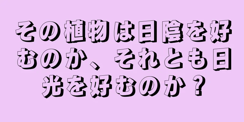 その植物は日陰を好むのか、それとも日光を好むのか？