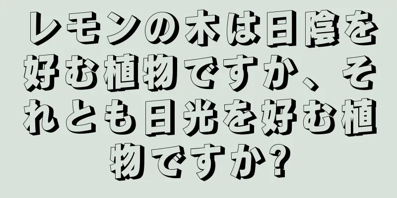 レモンの木は日陰を好む植物ですか、それとも日光を好む植物ですか?