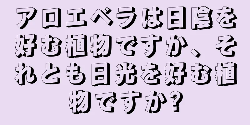 アロエベラは日陰を好む植物ですか、それとも日光を好む植物ですか?