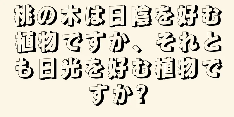 桃の木は日陰を好む植物ですか、それとも日光を好む植物ですか?