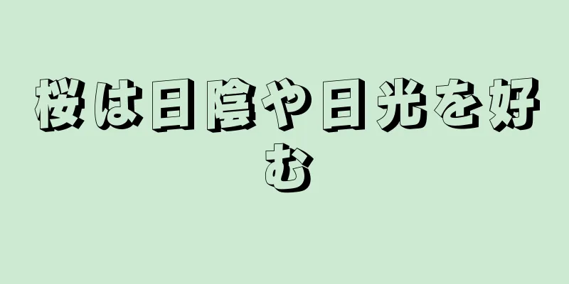 桜は日陰や日光を好む