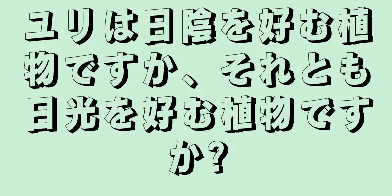 ユリは日陰を好む植物ですか、それとも日光を好む植物ですか?
