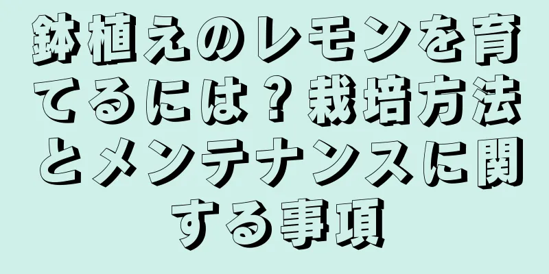 鉢植えのレモンを育てるには？栽培方法とメンテナンスに関する事項