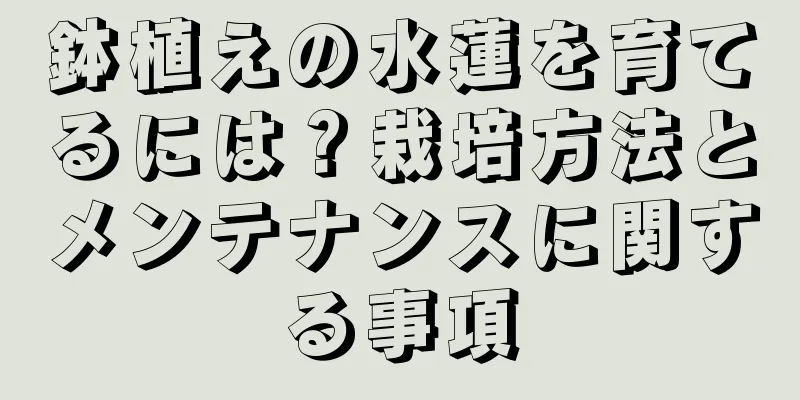 鉢植えの水蓮を育てるには？栽培方法とメンテナンスに関する事項