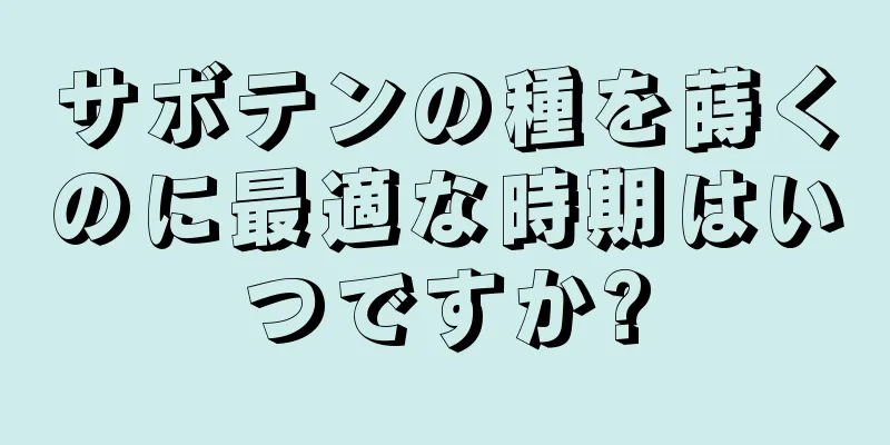 サボテンの種を蒔くのに最適な時期はいつですか?