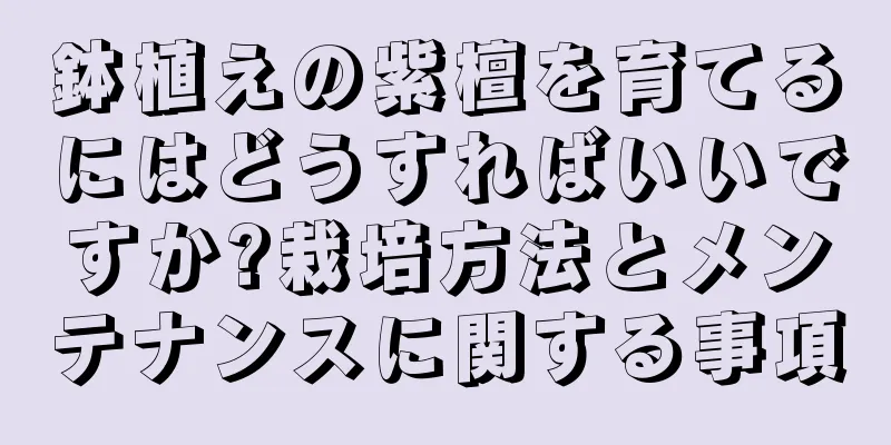 鉢植えの紫檀を育てるにはどうすればいいですか?栽培方法とメンテナンスに関する事項