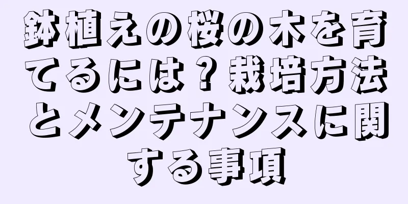 鉢植えの桜の木を育てるには？栽培方法とメンテナンスに関する事項