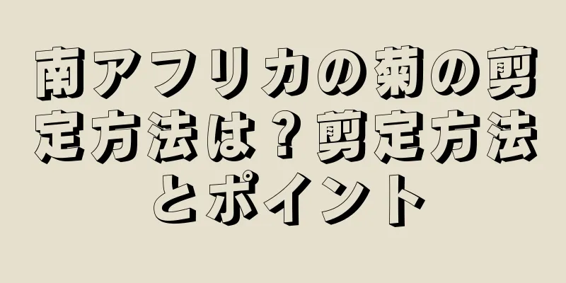 南アフリカの菊の剪定方法は？剪定方法とポイント