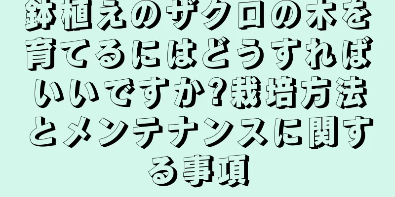 鉢植えのザクロの木を育てるにはどうすればいいですか?栽培方法とメンテナンスに関する事項