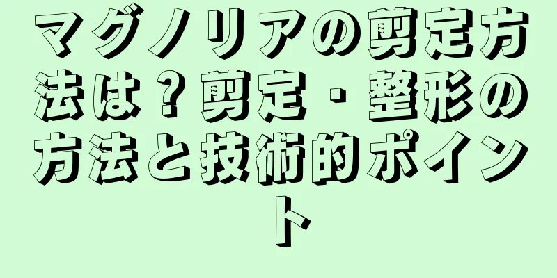 マグノリアの剪定方法は？剪定・整形の方法と技術的ポイント