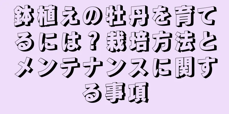 鉢植えの牡丹を育てるには？栽培方法とメンテナンスに関する事項