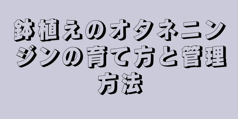 鉢植えのオタネニンジンの育て方と管理方法