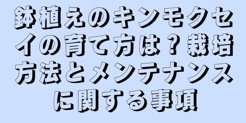 鉢植えのキンモクセイの育て方は？栽培方法とメンテナンスに関する事項