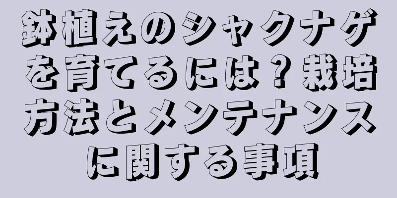 鉢植えのシャクナゲを育てるには？栽培方法とメンテナンスに関する事項