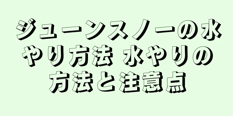 ジューンスノーの水やり方法 水やりの方法と注意点