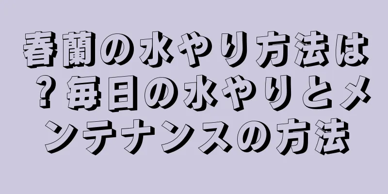 春蘭の水やり方法は？毎日の水やりとメンテナンスの方法