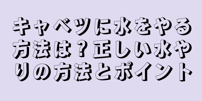 キャベツに水をやる方法は？正しい水やりの方法とポイント