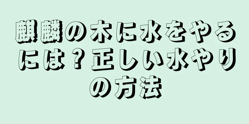 麒麟の木に水をやるには？正しい水やりの方法