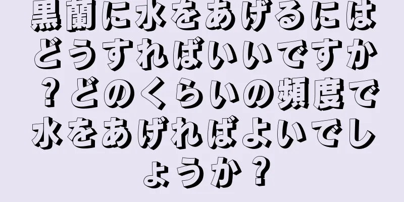 黒蘭に水をあげるにはどうすればいいですか？どのくらいの頻度で水をあげればよいでしょうか？