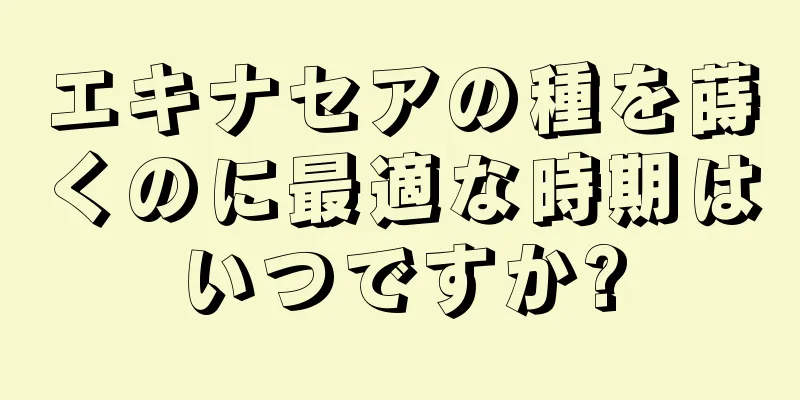 エキナセアの種を蒔くのに最適な時期はいつですか?