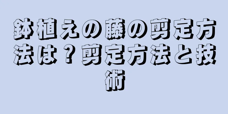 鉢植えの藤の剪定方法は？剪定方法と技術