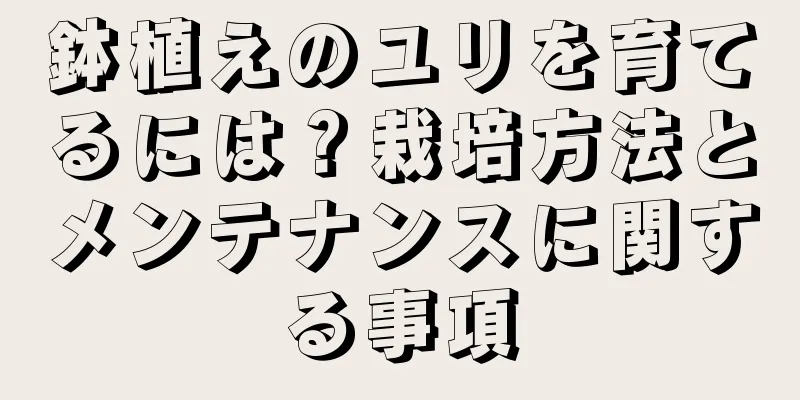鉢植えのユリを育てるには？栽培方法とメンテナンスに関する事項