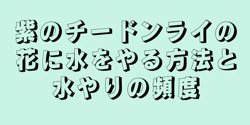 紫のチードンライの花に水をやる方法と水やりの頻度