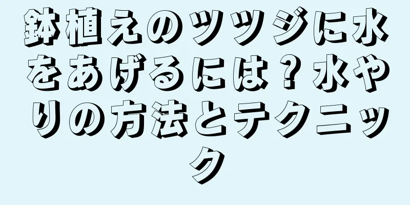 鉢植えのツツジに水をあげるには？水やりの方法とテクニック