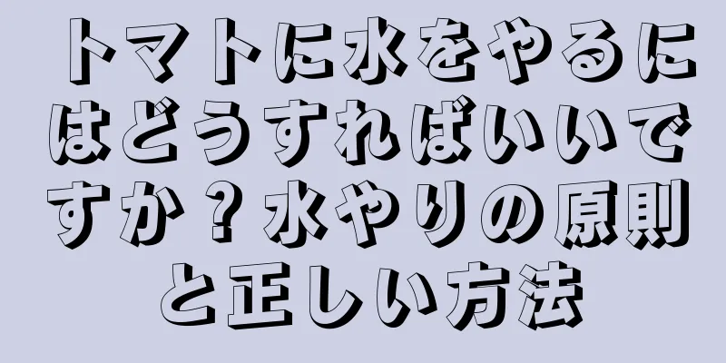 トマトに水をやるにはどうすればいいですか？水やりの原則と正しい方法