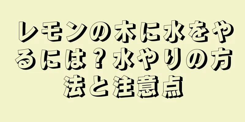レモンの木に水をやるには？水やりの方法と注意点
