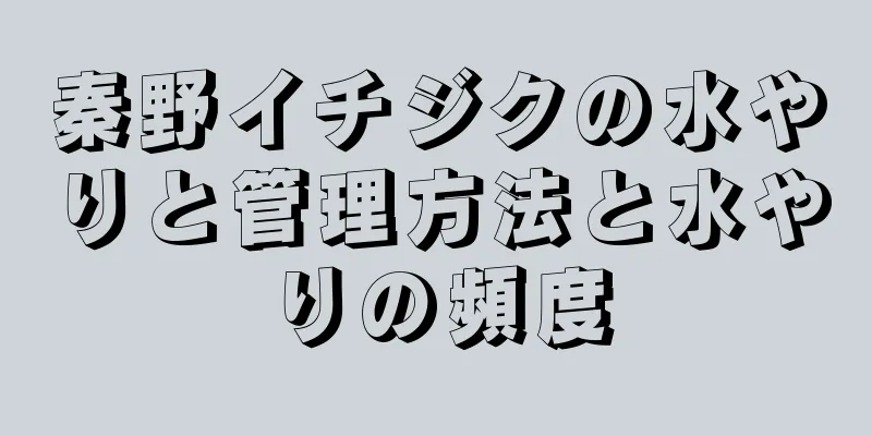 秦野イチジクの水やりと管理方法と水やりの頻度
