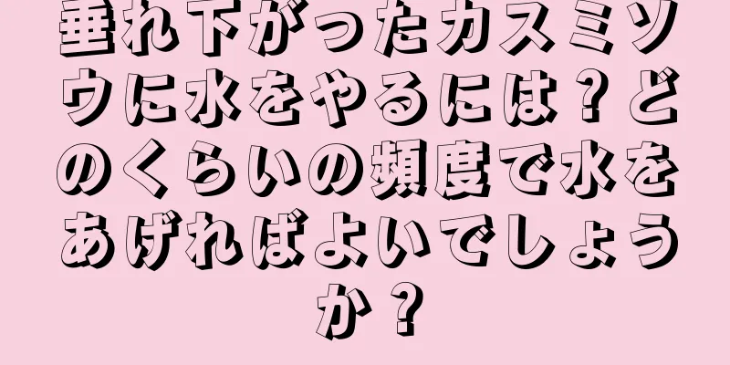 垂れ下がったカスミソウに水をやるには？どのくらいの頻度で水をあげればよいでしょうか？